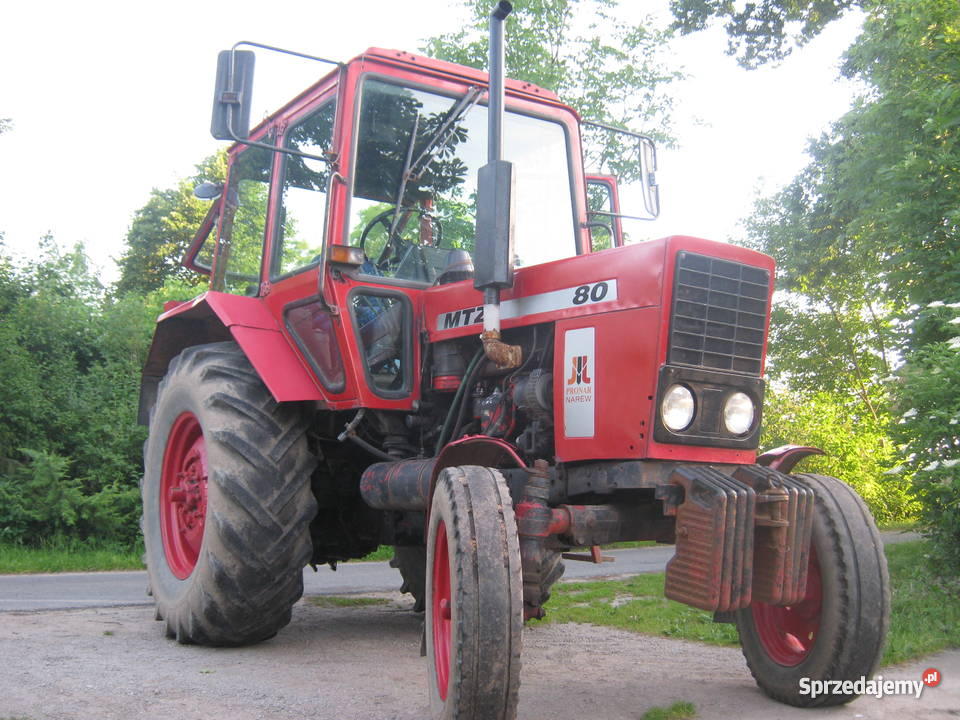 MTZ 80 1996 Żychlin
