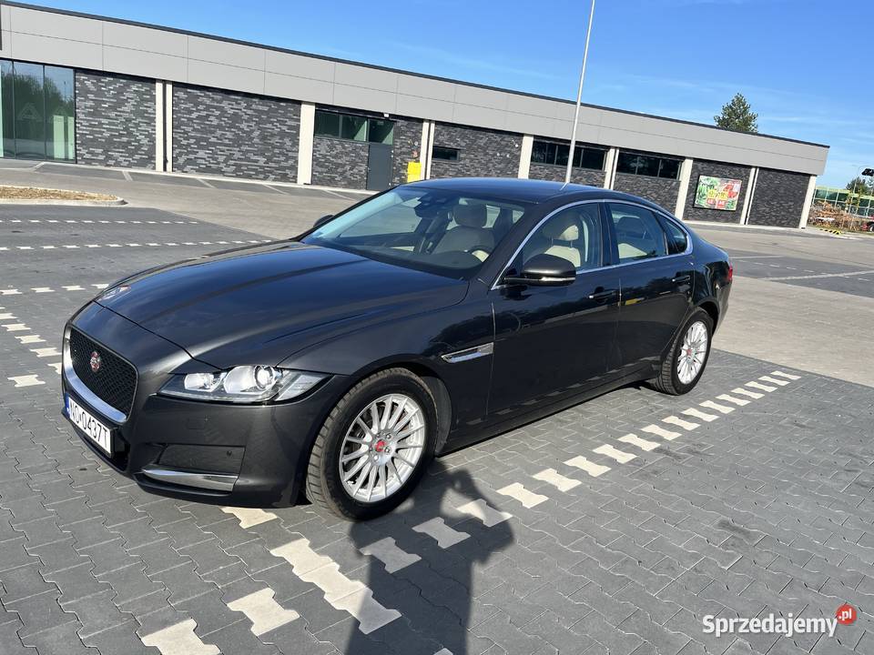 Jaguar XF 2017 zadbany