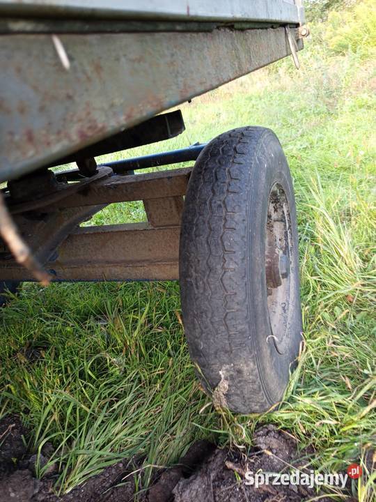 Przyczepa platforma sadownicza Dobrzyń nad Wisłą