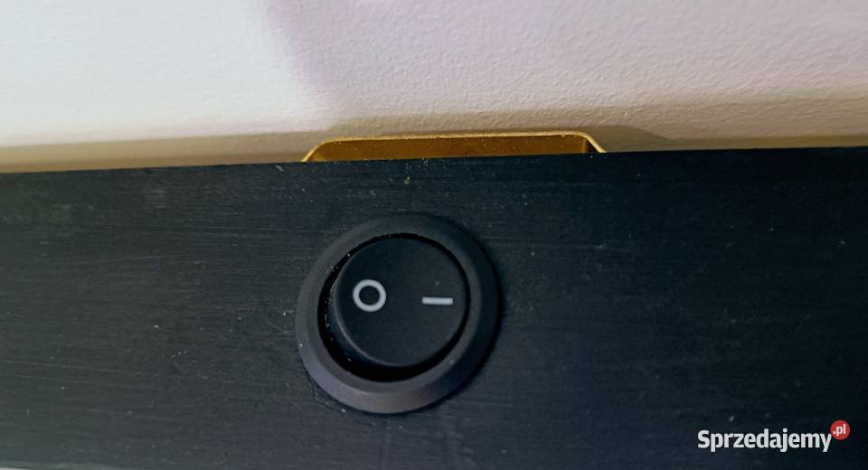 Rama z podświetleniem LED 100x40 z paprociami Kraków