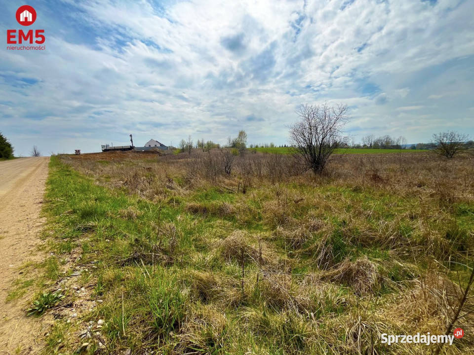 Sprzedaż działki Nowe Aleksandrowo 13000 metrów inwestycyjna