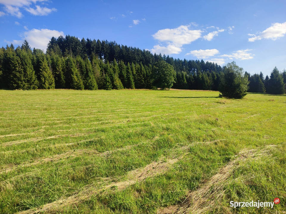 Działka rolna w Złatnej 2944 m 2944m2 Sprzedaż Złatna