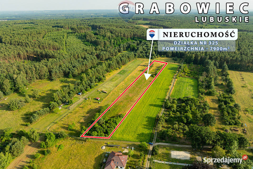 Na sprzedaż działka rolna 7900 m2 pod lasem 0m sprzedam