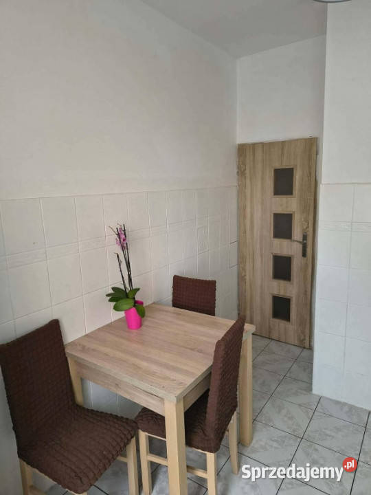 Słoneczne mieszkanie w centrum Torunia parter Sprzedaż Toruń