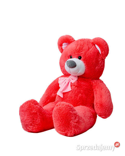 Ogromny Miś przytulanka GUSTAW 120 PRODUCENT Maskotki mazowieckie