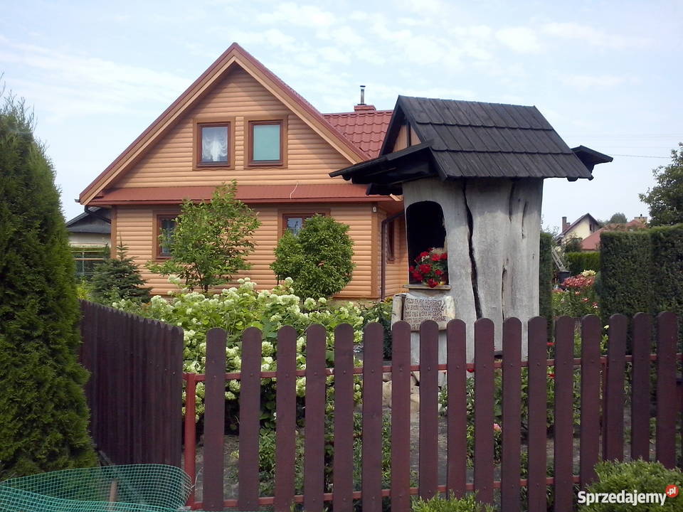 Kanadyjczyk Skokówka