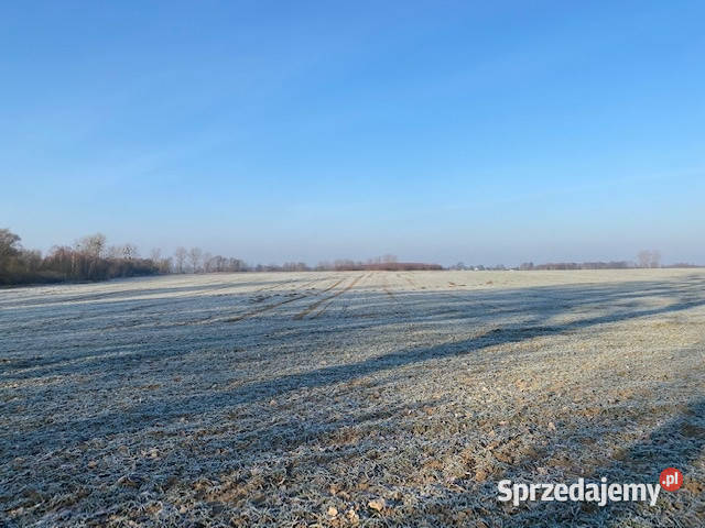 Syndyk sprzeda Nieruchomości w Sownie zachodniopomorskie Sowno
