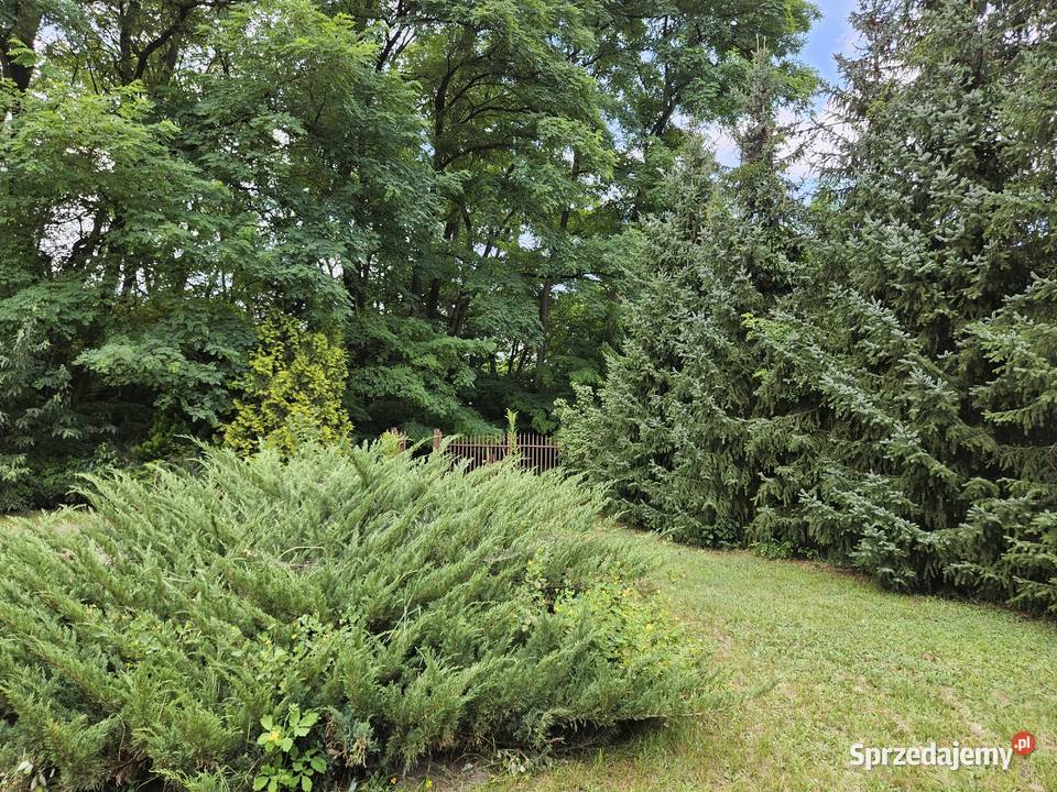 Działka budowlana 1798 m domek gospodarczy 37 m Sprzedaż Borowiczki-Pieńki