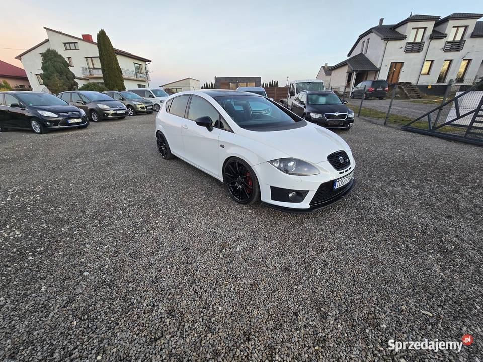 Seat Leon Cupra Ostrowiec Świętokrzyski