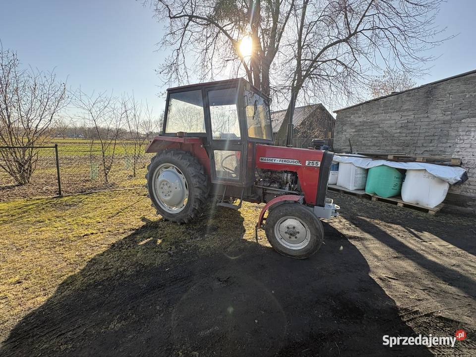 Traktor MF255 lubelskie Cyców