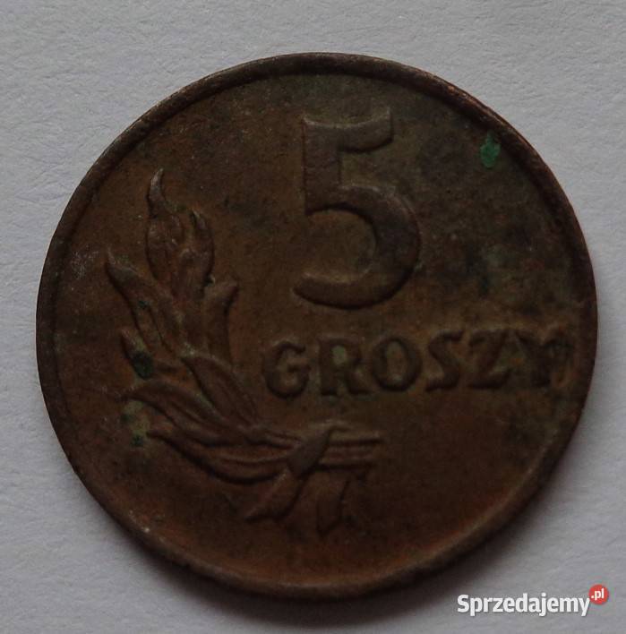 Moneta 5 groszy 1949 Antykwariat Warszawa