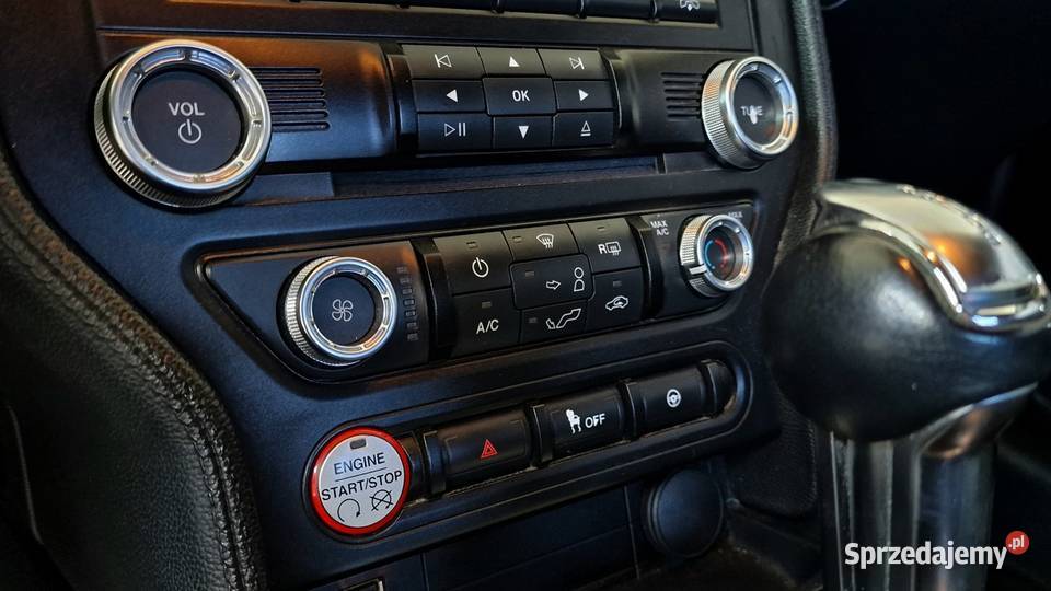 Ford Mustang śląskie Tarnowskie Góry sprzedam