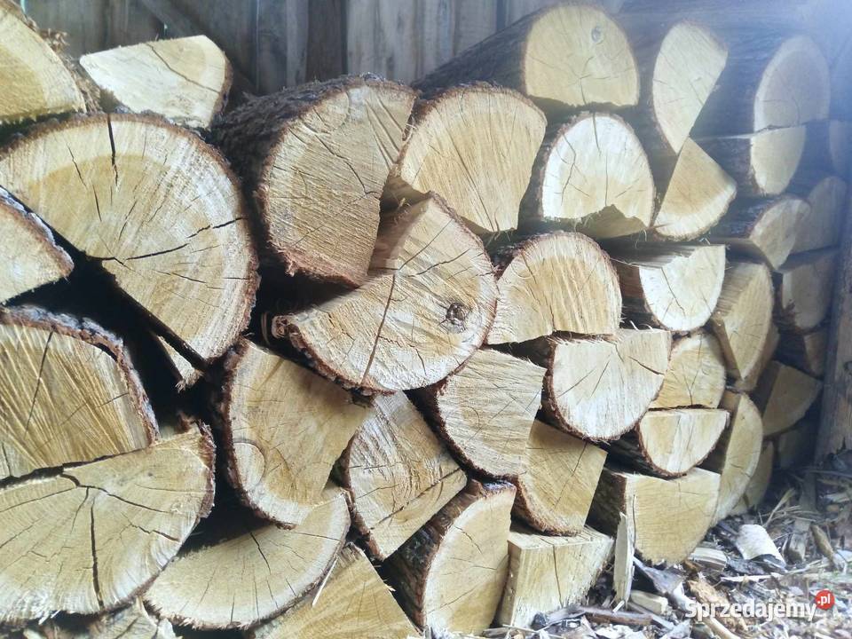 Drewno opałowe sosna dąb Piotrków Trybunalski sprzedam