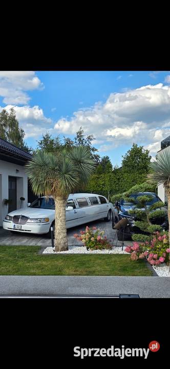 Limuzyna lincoln town car Rzędowice