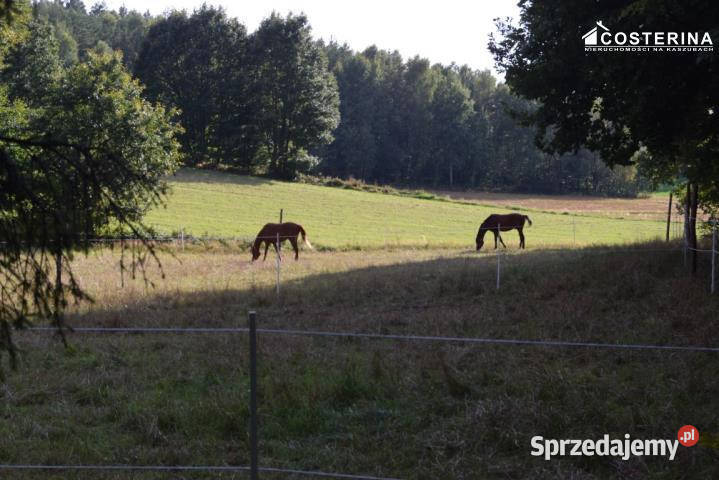 sprzedaży domu wolnostojącego Gołubie 80m2