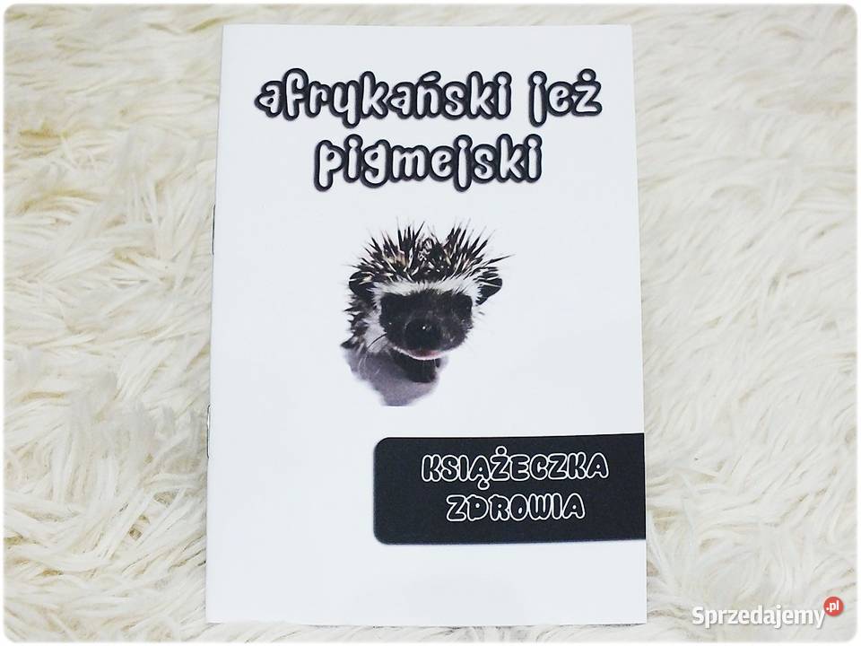 Książeczka Zdrowia Jeż pigmejski Nowa Lubsko