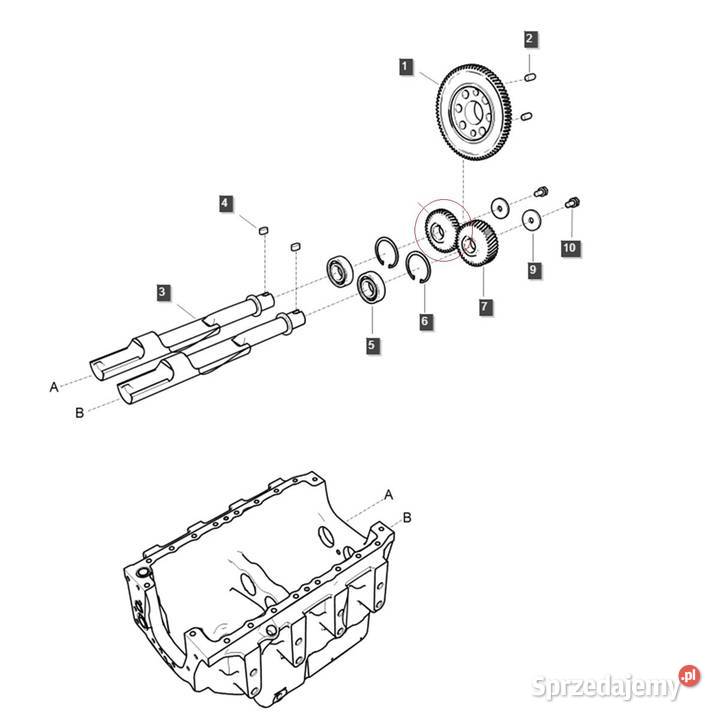 Koło zębate wałka wyrównoważającego prawe EGQ146 Tajęcina