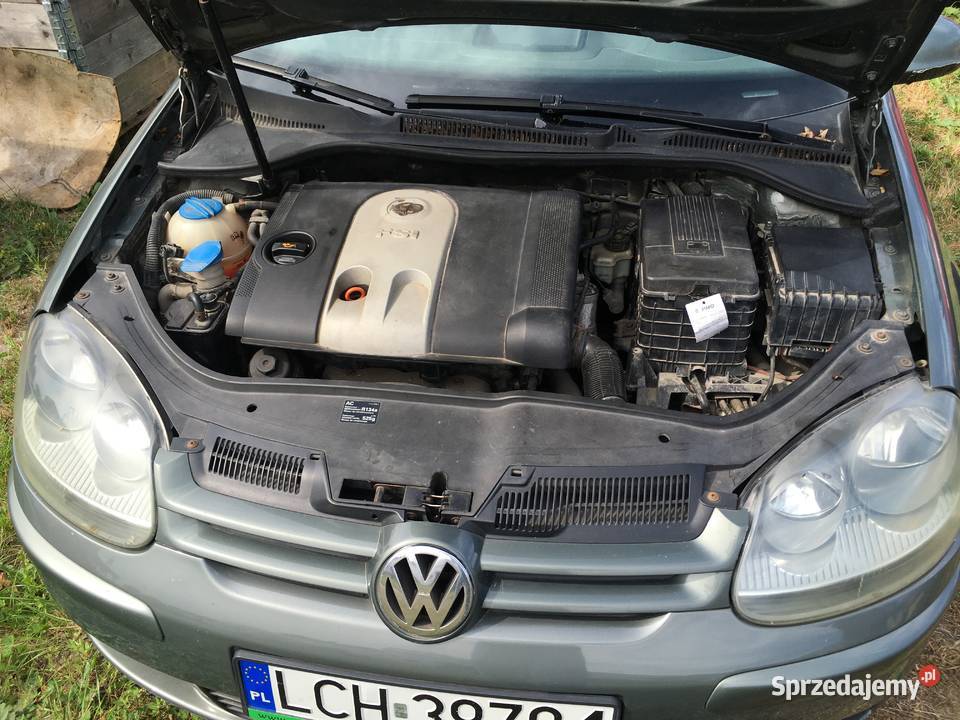 Vw Golf V 16FSI Rok produkcji 2004 Kanie-Stacja