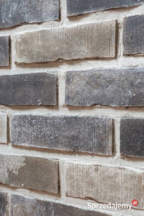 Płytki ceglane Zagłębie Ruhry 2820