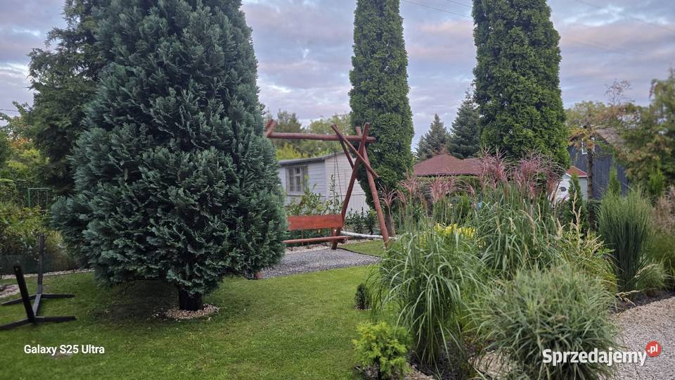 sprzedam działkę Rod pow 300m prąd woda Sochaczew