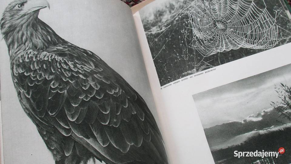 Ksiązki przyrodnicze przyroda las Bianki Łódź sprzedam