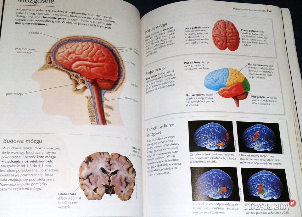 Puls życia 2 Małgorzata Jefimow Rok wydania 2009 Pozostałe Chełm