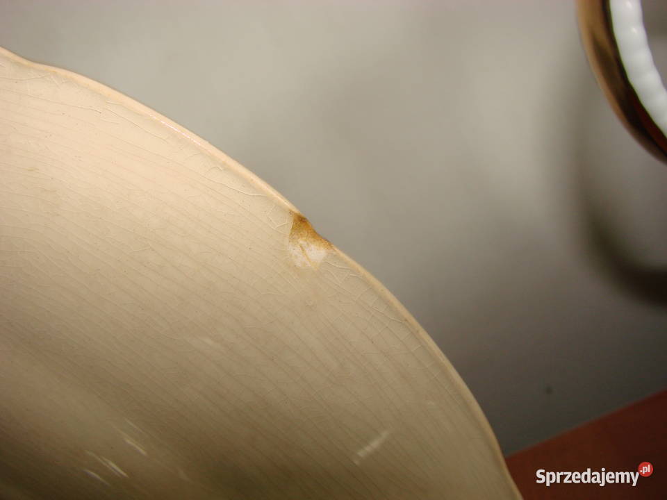 Gustavsberg Norrland porcelanowy talerz Pruszcz Gdański