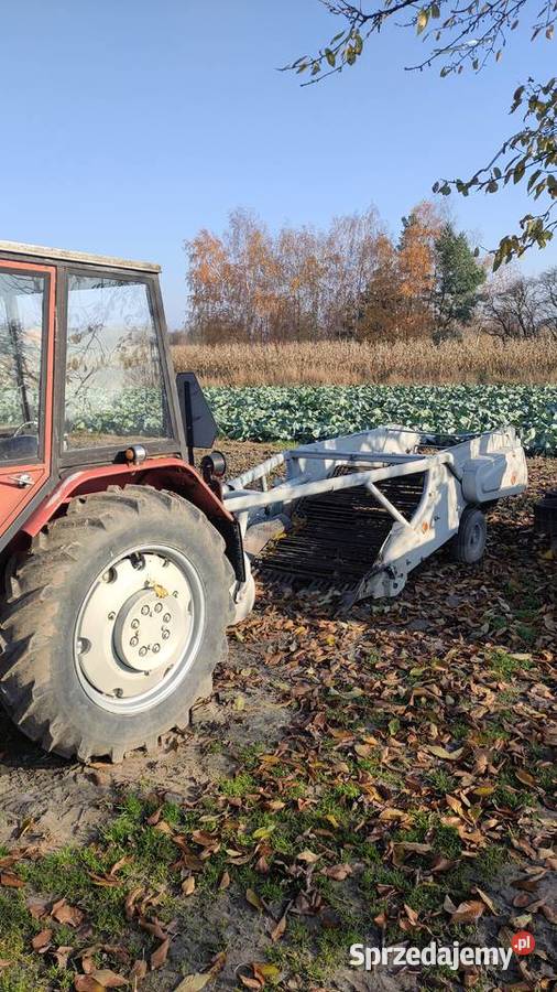 Kopaczka elewatorowadwurzędowa do ziemniaków Kopaczki łódzkie sprzedam