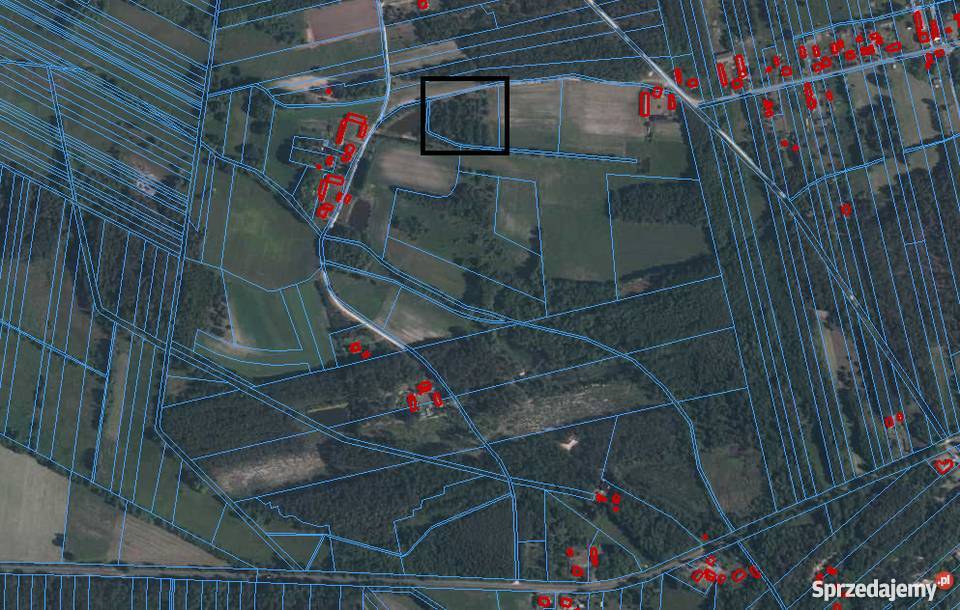 Działka 6600 m2 Józefów Widawski