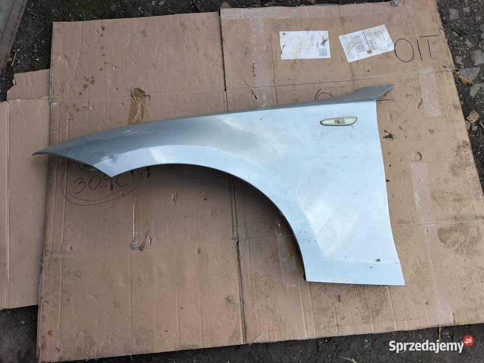 BMW 1 E87 BŁOTNIK LEWY PRZÓD SIWY Kamień-Kolonia