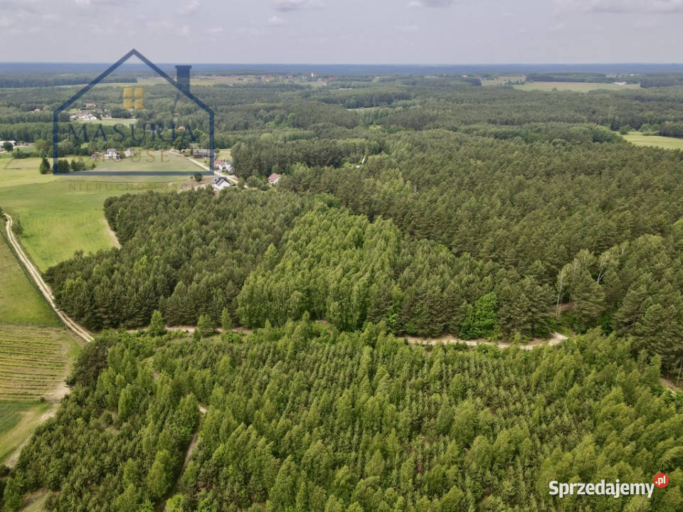Ostatnia działka Kąciki 11106 m2 Sprzedaż sprzedam