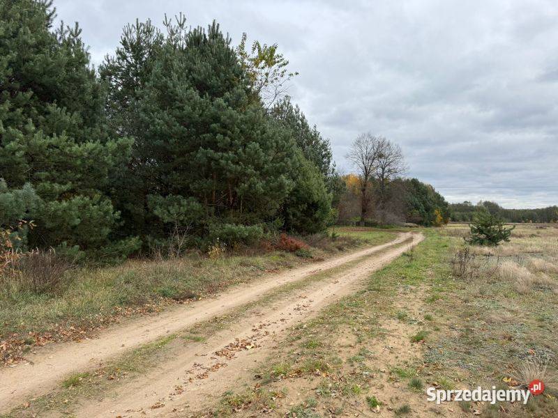 Urokliwa działka z możliwością zabudowy w woda mazowieckie Choinek