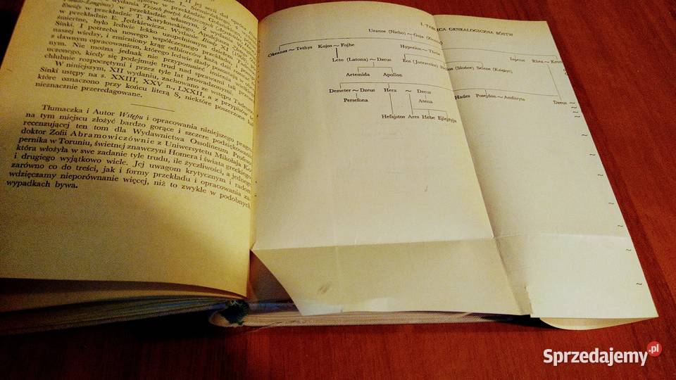 Iliada Homer Biblioteka Narodowa Seria 2 17 Gdańsk