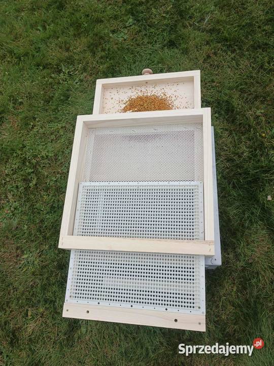 Dennica z poławiaczem pyłku Pszczelarstwo Czermna