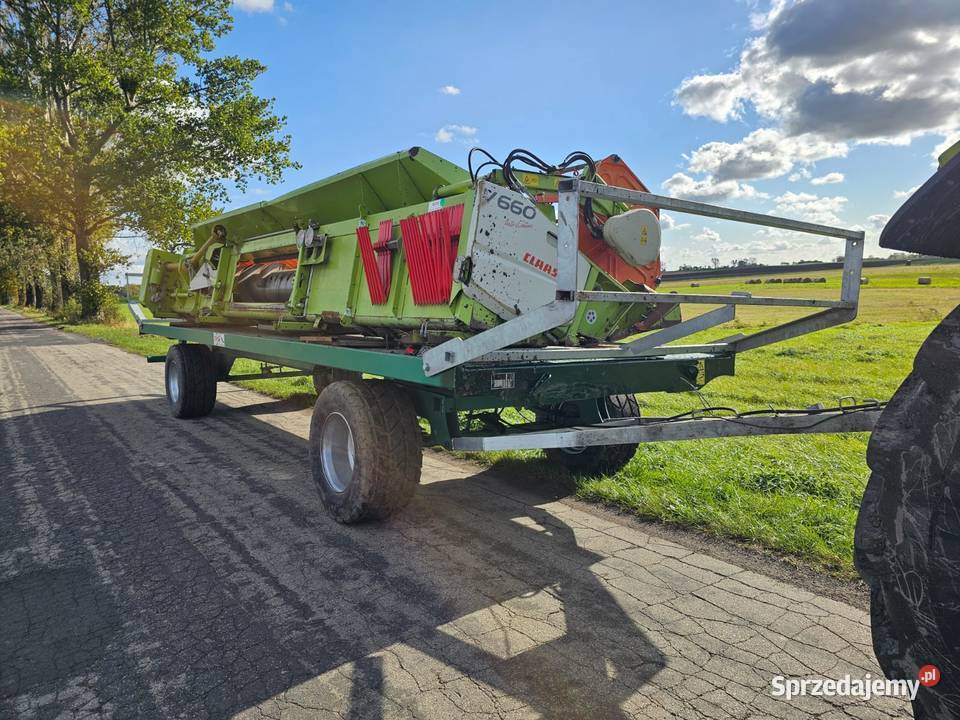 CMS C9 2022 r Pozostałe Wilkowo