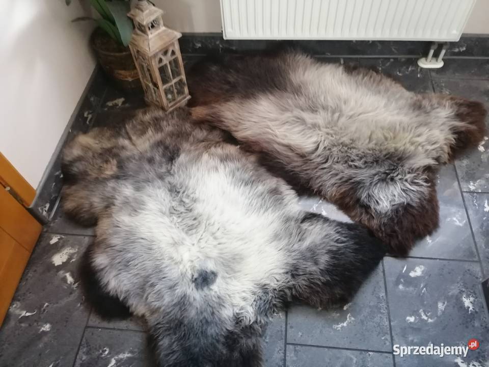 Skóry dekoracyjne naturalne wielokolorowy Zakopane