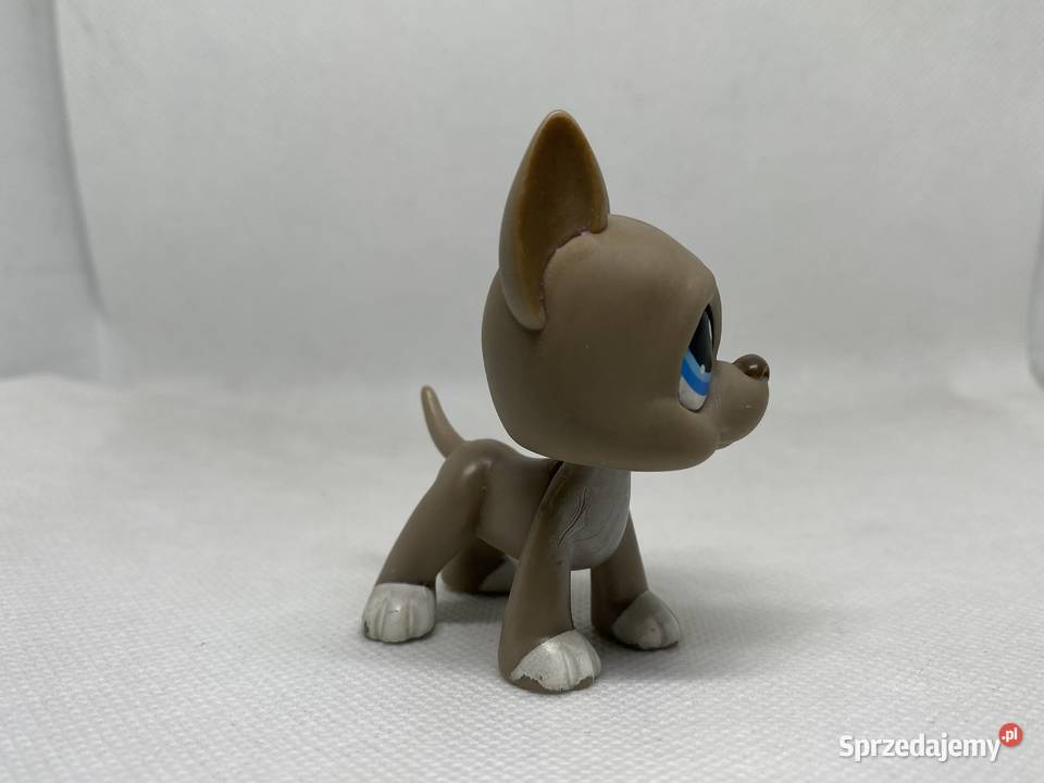 LPS Littlest pet shop pop dog niemiecki 184 Łódź