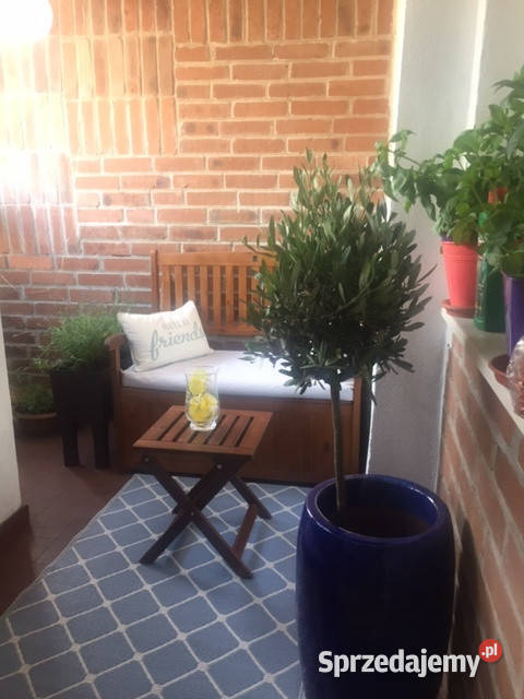 Sprzedam dwupoziomowe mieszkanie w centrum 6170zł/m2 śląskie Mikołów