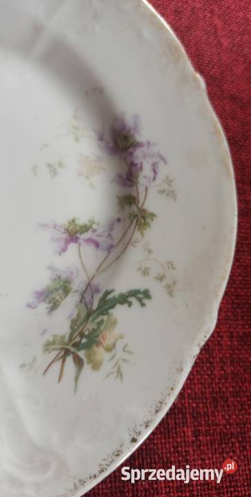 KPM Krister z lat 1840 1895
Talerzyk Anemony Porcelana i szkło Antyki, Sztuka, Kolekcje pomorskie Gdańsk