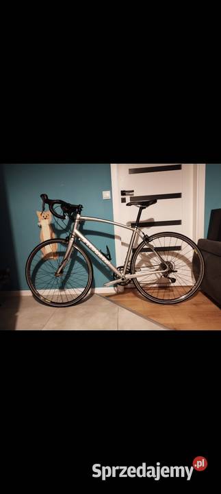 Specialized secteur tiagra Legionowo