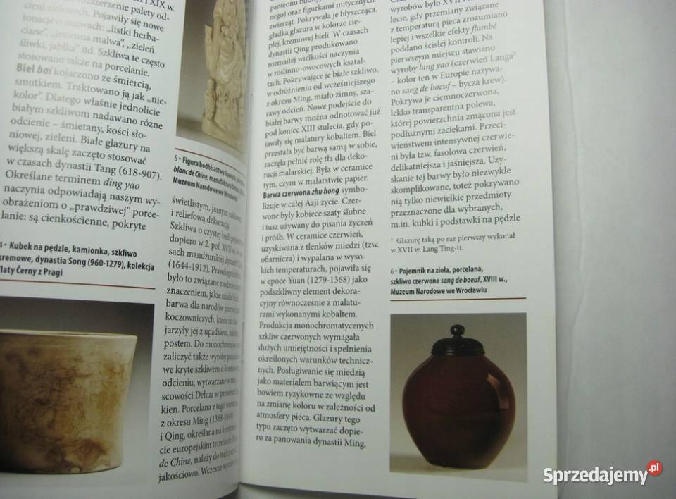 Barwy i kształty CERAMIKA CHIŃSKA Osięciny sprzedam