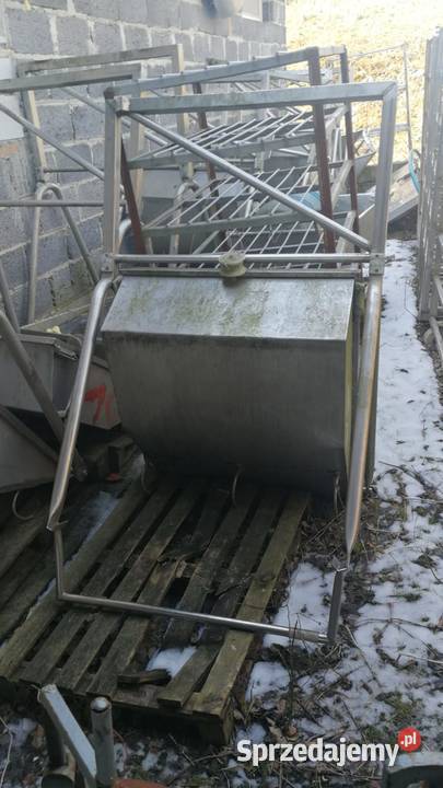 linia ubojowa na wisząco do transportu żołądków małopolskie Stary Sącz