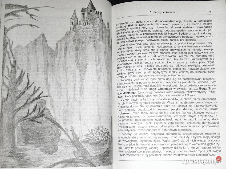 Albo albo Inspiracje jungowskie Z Dudek J Chełm