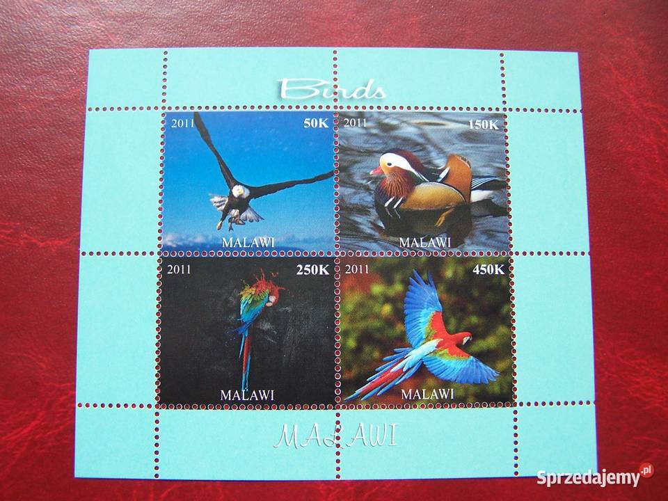 MALAWI 2012 MNH Fauna dzikie ptaki Afryki Tychy