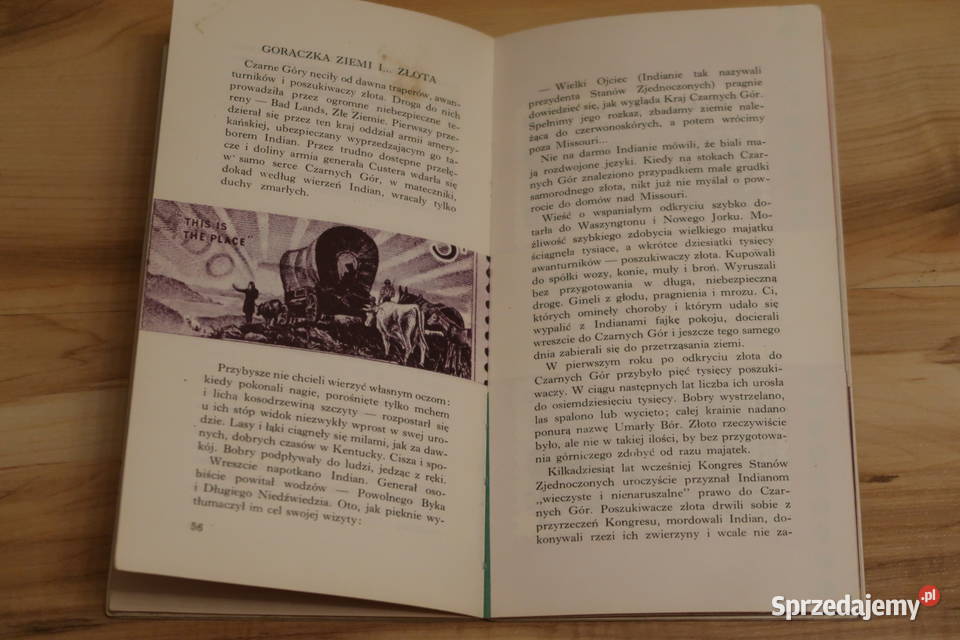 Fryderyk Wierzbiński INDIAŃSKI PIÓROPUSZ Siedlce