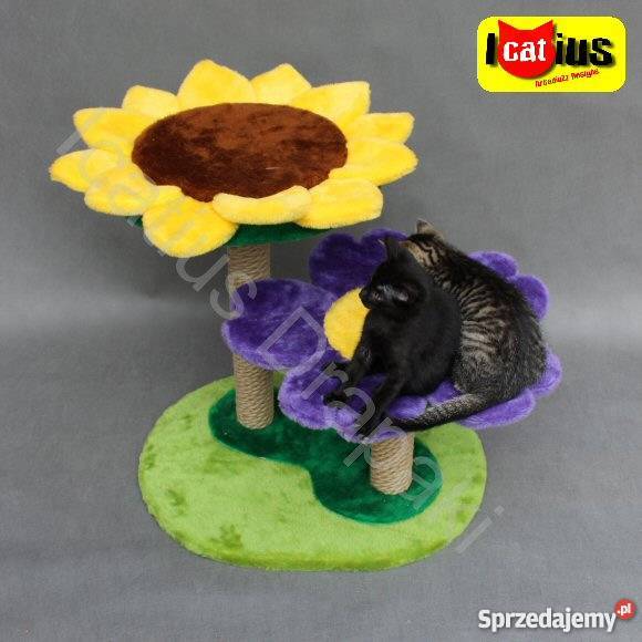 Drapak kota Icatius Wyjątkowy Łódź