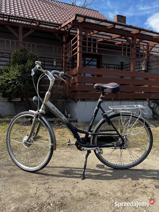 Rower holenderski Batavus Shimano Nexus Turek