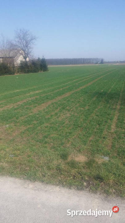 Jakubowice Kon Szeroka działka budowlana Jakubowice Konińskie