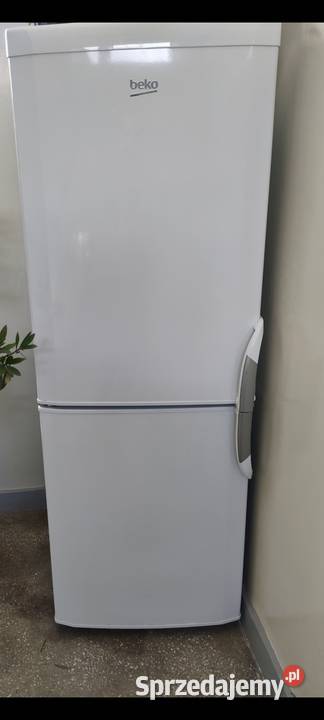 Lodówka z zamrażalką Olsztyn
