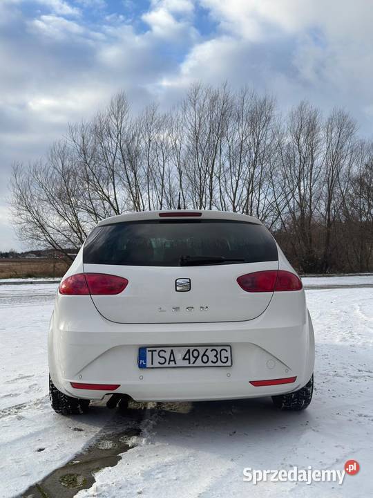 Seat Leon Hatchback Motoryzacja Sandomierz